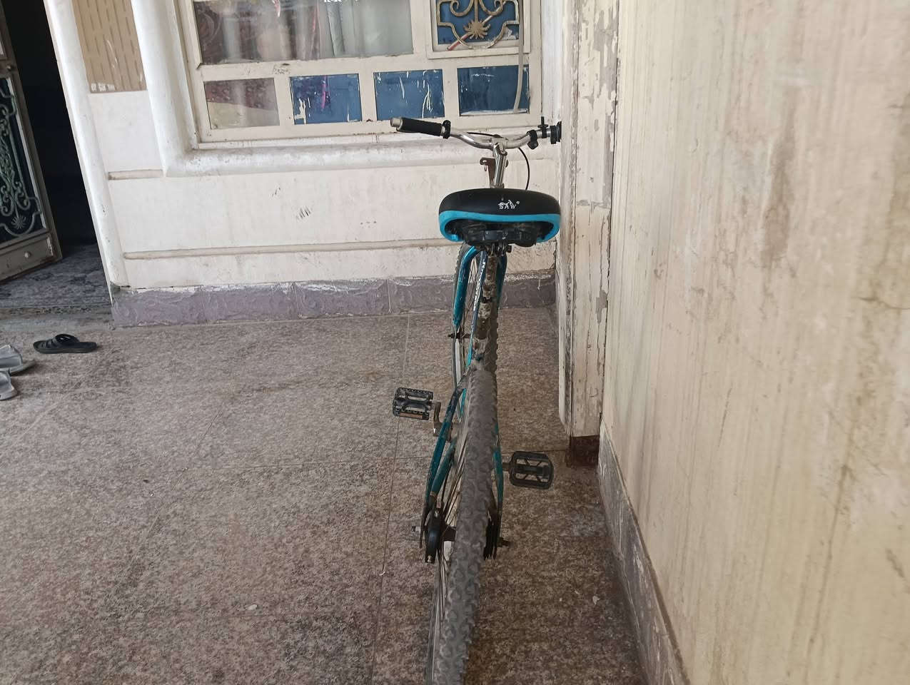 با يسكل جبلي في ناصريه حي شهداء لاستفار ***********
