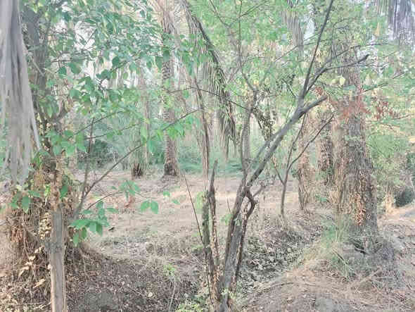 يالله أللهم صل على محمد وأل محمد 

للبيع قطعة  500 متر  طابو زراعي تحويل سهم 

العنوان كربلاء الحسينية قرب جسر الابراهيمية 

تبعد عن شارع الزوار  200 متر وعن جسر الابراهيمية 500 متر 

وعن مركز المدينة 15 كيلو 

تتوفر كافة الخدمات مي سقي سيح مي اساله 

#السعر   75  مليون مع المجال للجاد بالشراء 

للاستفسار اكثر اتصلوا بالارقام التالية 

(  ***********  )(  ***********  )

ابو فاطمة عنوان المكتب قرب جسر الابراهيمية 

عل سايد الخدمي مقابل شارع عون مكتب النافعي للعقارات كربلاء  النافعي للعقار  @أبرز المعجبين
