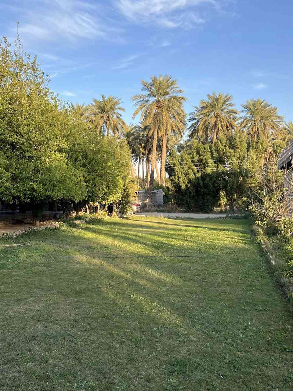 السلام عليكم دونمين طابو ملك صرف
المدائن منطقه التويثه قرب شارع سيد علي 
يحتوي على بيت مساحه 350 متر 6 غرف نوم 
و هيكل نقص تشطيب مساحه 100 
يبعد 50متر من السده للاستفسار ***********
