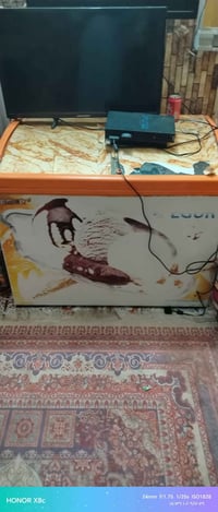 مجمدة طرحية • نظيفه • لمحل غذائية