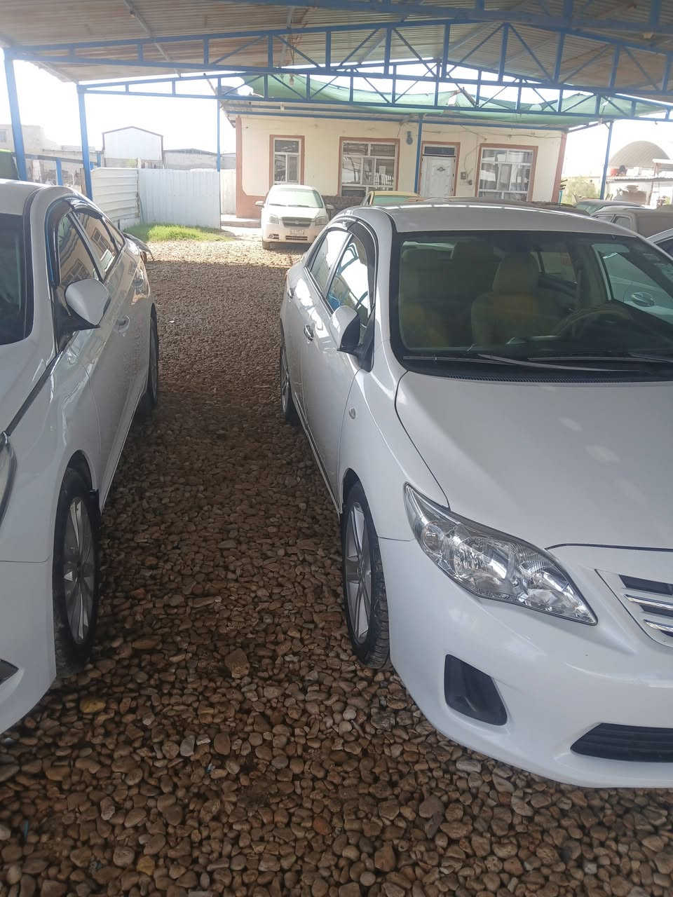 مرحبا مرخصت لمدير كورلا مديل ٢٠١٣ خليجي سياره مكفوله ماعده باب سايق بي صبغ ومفتوحه مكينه ١٨٠٠ ما مفتوحه كير ومكينه وتبريد تخم تاير جديد وهذا رقمي ***********وسعر ١٢٨ وبيه مجال لعنوان لدوانيه
