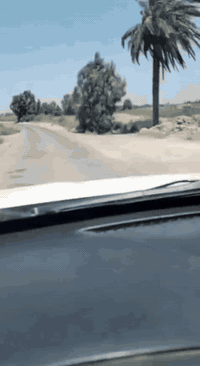 للمرواس بقطعه أرض ١٠٠ متر دونم طابو زراعي سند ٢٥ الفين وخمسمائة متر جم...