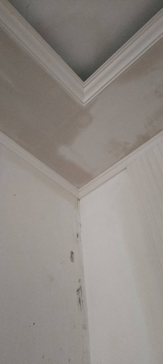 من رخصة الأدمن السلام عليكم جزء من شغلي للاستفسار واتساب ***********
