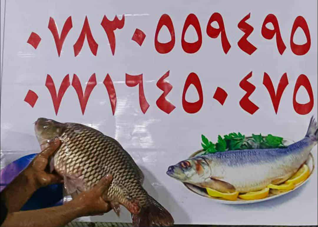 السلام عليكم.
سعر كيلوالسمك الشوي 6500.
سعر كيلو السمك الحي(بدون شوي)5500.
اهلا وسهلا بكم.
الموقع :-الكورنيش مقابيل الجامع الكبير.
للحجز الاتصال على.
***********
***********..
