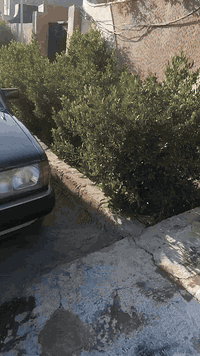 ١٩٩٠ • محرك ٣٠٠٠ VVT • رقم سليمانية