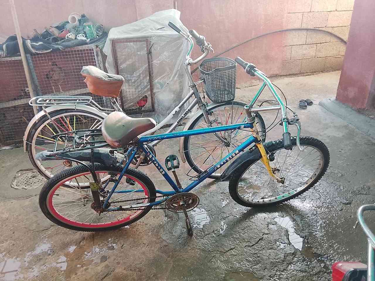 باسكلات للبيع البناتي بي عطل بل بيم طاك فقط او الباسكل مال صباق بي عواج بل تاير ألمامي مي ءثر قيم وخث


**إذا كنت صاحب هذا الإعلان وتريد حذفه لأي سبب، رجاءا أرسل رسالة إلى الدعم الفني**