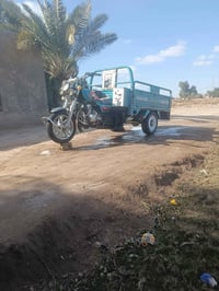 ستوته مقفولة • عامية • موديل 21