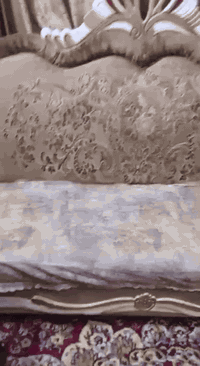 السلام عليكم تخم للبيع 
***********جديد ماصلانه اهواي من ماخذي 
بس صار عدنه ضرف واريد انبيعه
