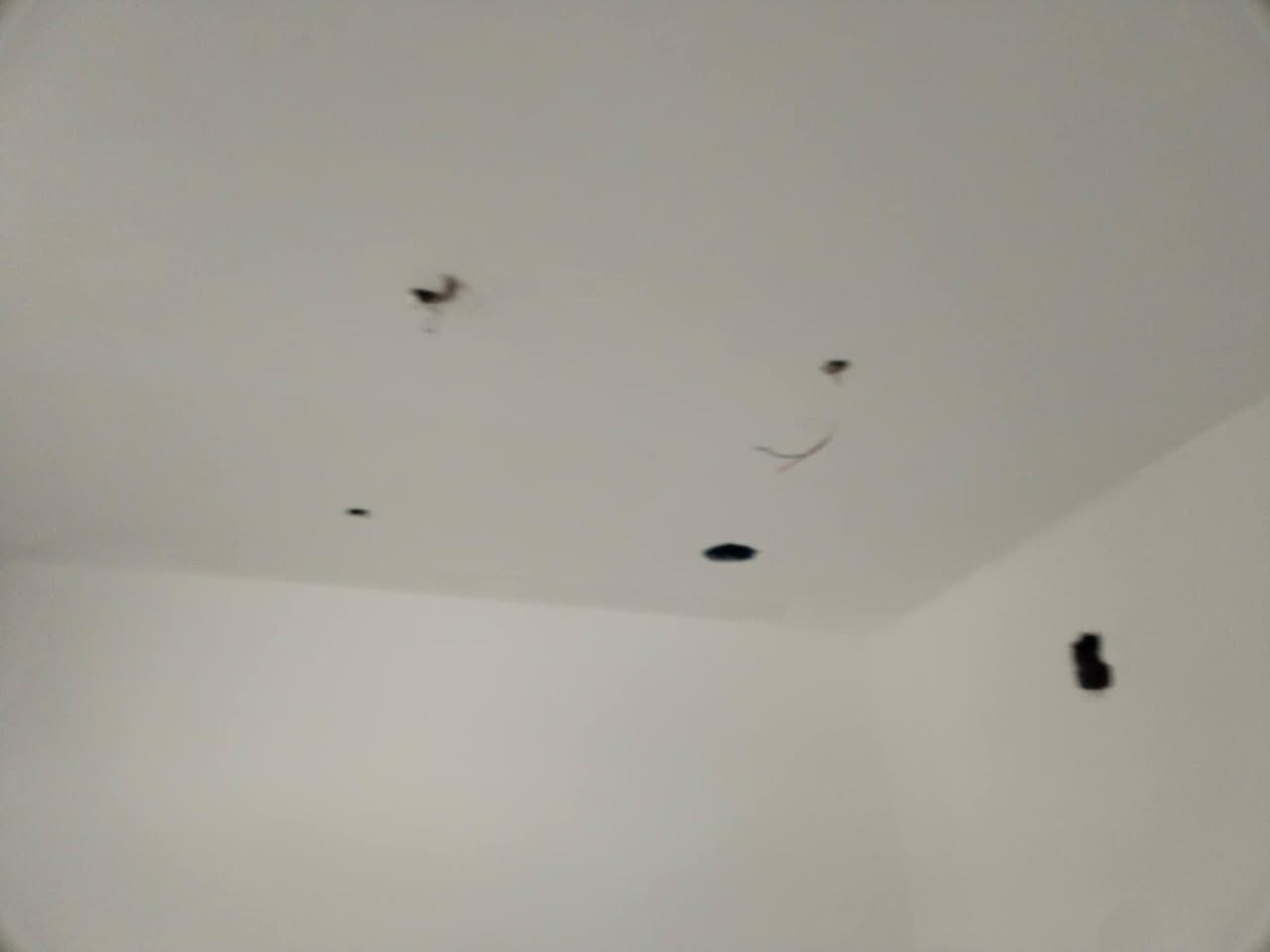 اللهم صل على محمد وآل محمد الطيبين الطاهرين وعجل فرجهم ياكريم
1عمالناا لبخ ابياض سراميك عمل درجه اولى
2نعمل قطعي_متر
3نعمل داخل المركز فقط 
4الاستفسار الانتصال ‏‪***********‬‏
5الخاص مفتوح 
عباس الخفاجي 👷
