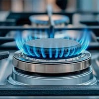 هلاَ واسهلاَ طباخك عطلان وماعندك مجال اتدزه للمصلح لگينالك حل انتَ وگا...