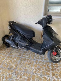 دراجة سكنس • أوراق كاملة • فحل