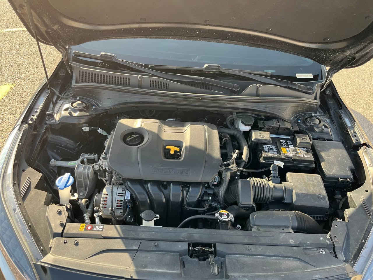 كيا فورتي 2024 حره بإسمي بدون لوحات تترقم اي محافظه عادي
بدون تبديل بجم كفاله
السيارة جاهزه بدون اي نقص
للاستفسار الاتصال
عنواني ميسان 
***********
ابيع فقط ما اراوس
