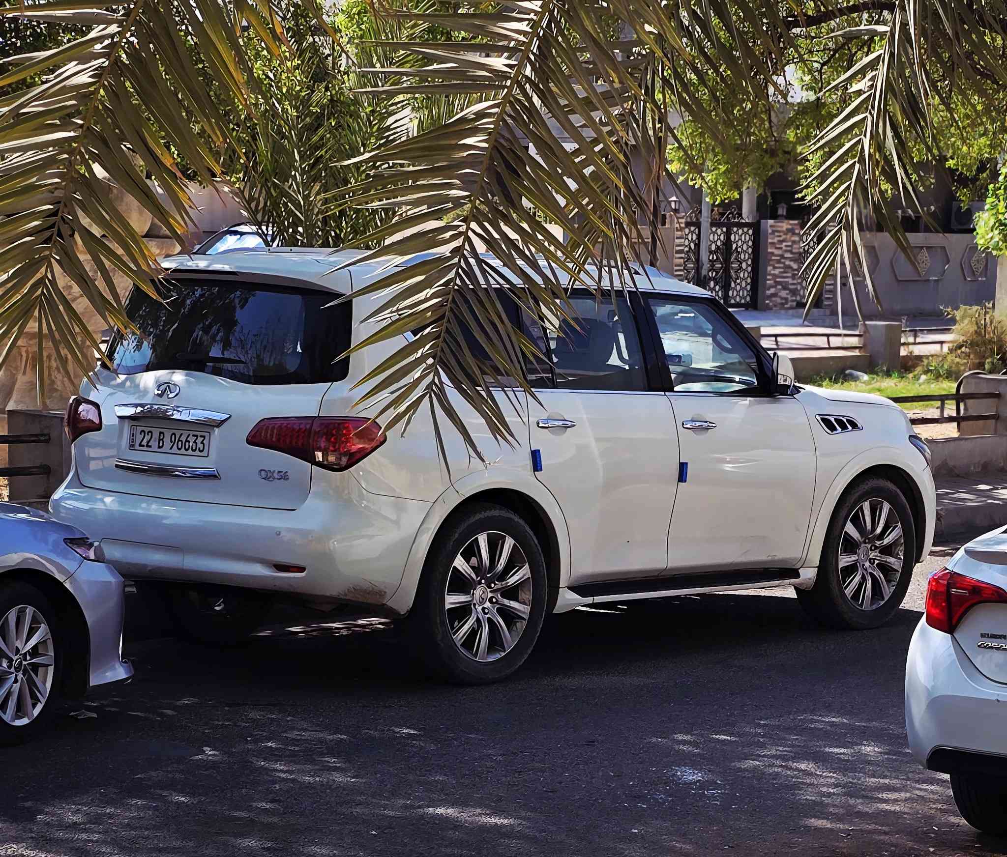 السلام عليكم
مقدماً قبل كلشي محرك كايم بي كازكيت ولطش أكرر محرك كايم 

ماعندي أصلح وضعي ما يساعد عندي ظرف خاص

#بيع أو #مراوس 

#انفينتي 

QX56 موديل 2011 سنوية تسقط شهر السابع القادم 

8 سلندر حجم 5600 طاحونة 

سبعة راكب

خليجية فول الفول 

كلها شرط من صدر وتايرات وكهربائيات وتبريد كلها شرط 

الخليجي يجي فول بصمة 

شاشة أعطال 

كاميرة ٣٦٠ درجة

رادار وتحديد مسار ومثبت سرعة 

تبريد ٣ قطع ثلج 

كشنات كهرباء مكيفة 

سلايت كهرباء جنطة شفط كهرباء 

غرفتها شرط جديدة 

تعرفون الخليجي يصير بي تقشير والسيارة بيها بداية تقشير 

طالب بيها 125 ورقة 

 تفيدك راسلني واني خادم 

ماتعجبك اعبر المنشور أو ادعيلي بطريقك 

رجاءا لا تكول نتراوس واريد فرق لو عندي جان صلحت ومابعتها 

***********
