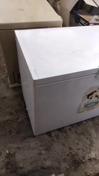 للبيع كشر مجمده نظيف التفاصيل والسعر في الفديو 👇 للتواصل خاص او الاتصا...