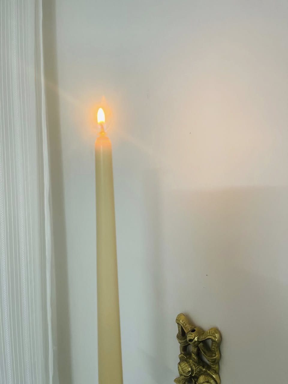 الأناقة في أبهى صورها.. حيث يلتقي النور باللون ✨
اجمع بين كلاسيكية التصميم وهدوء اللون مع مجموعتنا الجديدة من الشموع الطويلة. صُممت لتكون القطعة المركزية التي تمنح زوايا منزلك لمسة ملكية لا تُنسى.
لماذا هذه الشمعة هي اختيارك الأمثل؟
• لون عاجي (Ivory) ساحر: اخترنا لك درجة العاجي الدافئة، اللون الذي يمتص الضوء ليعطيك وهجاً ناعماً يبعث السكينة، ويتناغم بذكاء مع القطع النحاسية والخشبية.
• تصميم انسيابي رفيع: قوام رشيق يرتفع بأناقة ليناسب أرقى أنواع الشمعدانات الجدارية والطاولات.
• دفء كلاسيكي: يضفي لمسة "الأنتيك" الفاخرة على ديكور منزلك، ويحول الممرات العادية إلى رواق من الهدوء


**إذا كنت صاحب هذا الإعلان وتريد حذفه لأي سبب، رجاءا أرسل رسالة إلى الدعم الفني**