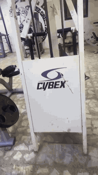 سحب تجديف سايبكس 2- سحب T متكي الصدر شركه امبالص 3- سحب T منحني  4- مصاطب بنج نتليوس ومكنوم امريكي بااسعار مناسبه للاستفسار *********** بغداد مدينه الصدر
