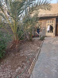 بيت للايجار • بوب الشام • ١٥٠م