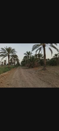 ١٠ دونم • طابو سند ٢٥ • بيت ٢٠٢٣