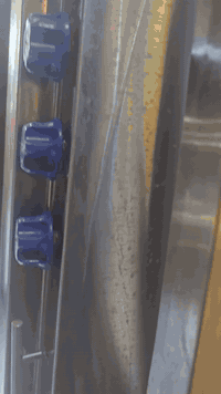 شواية كص للبيع استعمال ٤ مرات فقط  كاك تركي عيون سورية اصلية مع شيش وس...