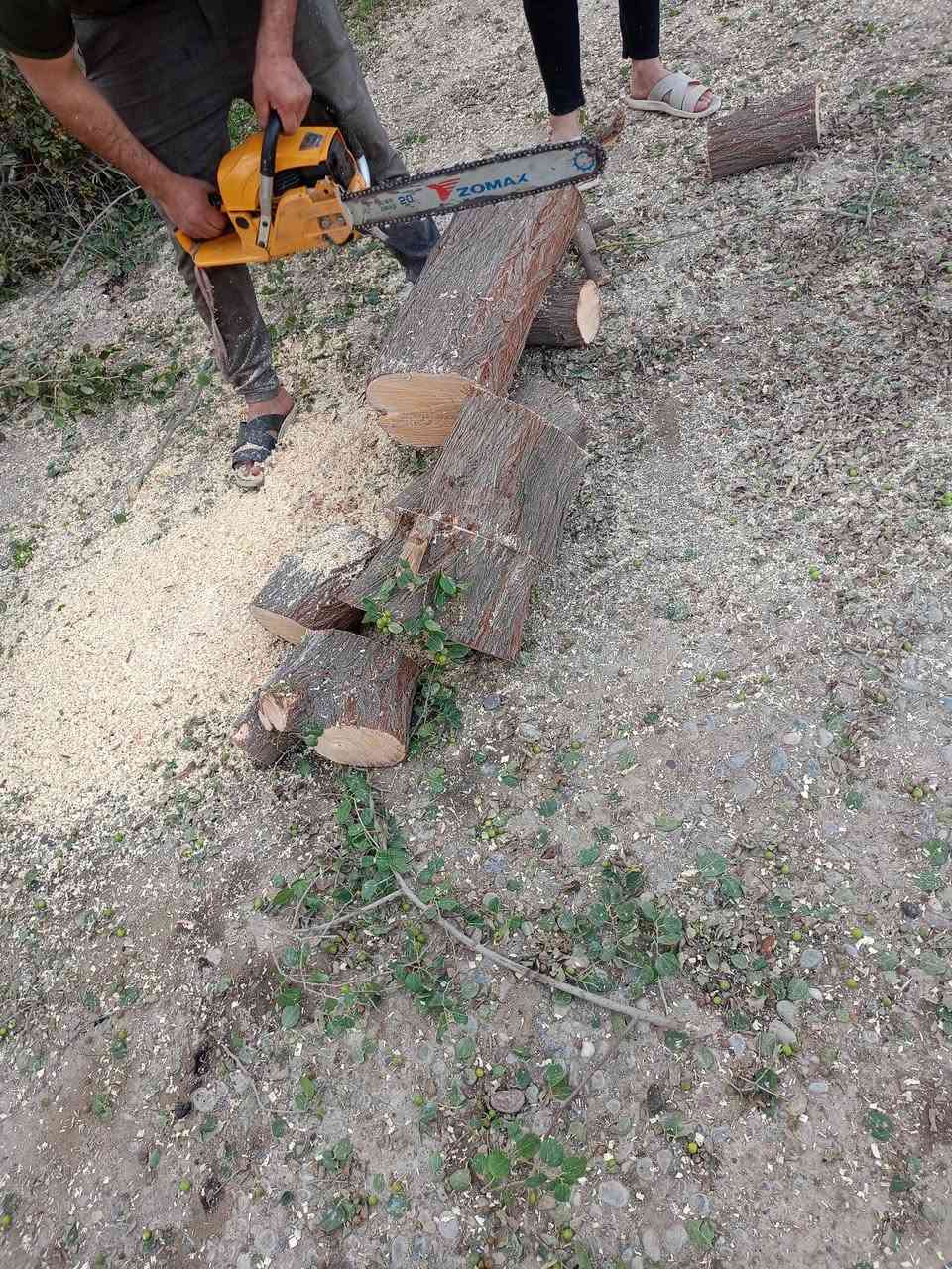 السلام عليكم
يوجد موطور حطب لكص الشجر متفرغ موجود باي وقت بس خابرني الاتصال***********
والله حي الجميع
