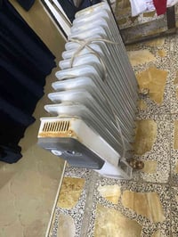 صوبة زيتية • ٢ حبات • للبيع