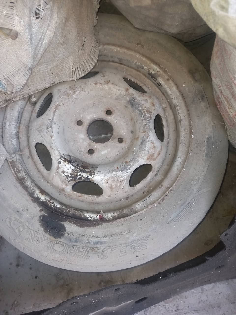 السلام عليكم للبيع تخم ويل كورلا  حجم  ١٤ مكاني بغداد ***********
