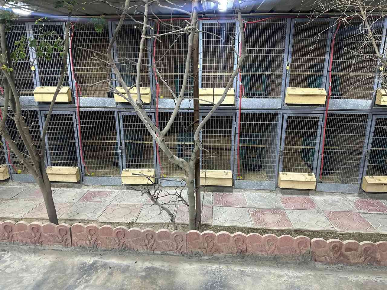 تحياتي لجميع كلشي موضح
خانات طابقين كل طابق يحتوي على 6 خانات 

ارتفاع متر نزال متر طول 6امتار 

الطابق الفوك مفصول عن الطابق الجوا 

شغل حديد درجه اولى نفس مموضح 

سعر للكل مليون و300


**إذا كنت صاحب هذا الإعلان وتريد حذفه لأي سبب، رجاءا أرسل رسالة إلى الدعم الفني**