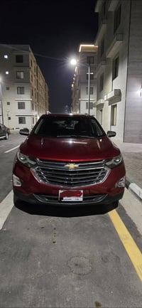 أكوينكس بريمير • ٢٠٢١ • وارد أمريكي