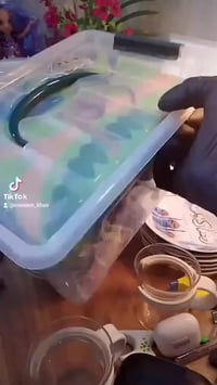 مجموعة ديناصورات • أوربي • مفرش وحافظة