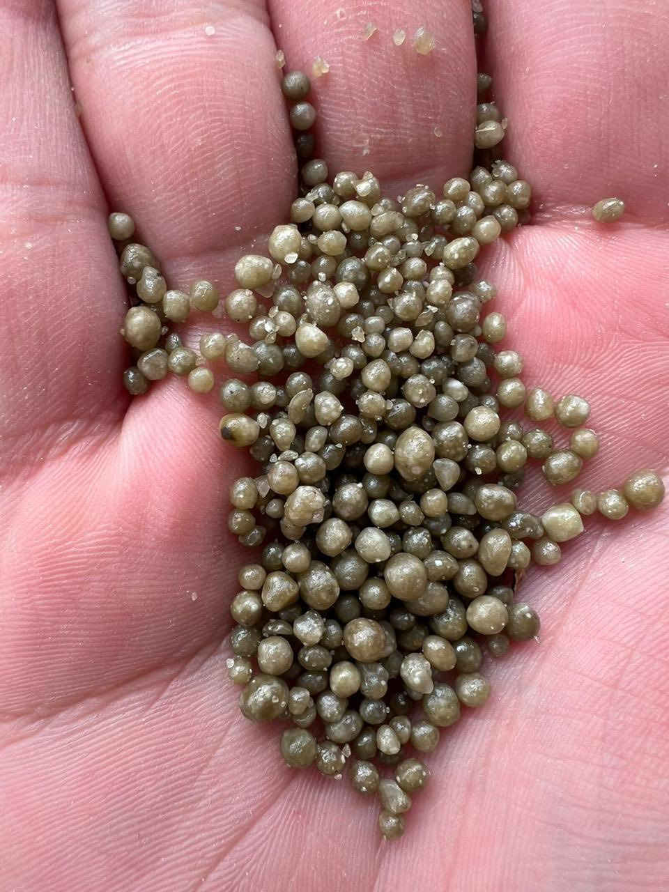 يتوفر لدي كافت أنواع داب 
داب سابك سعودي 
داب رادني سنبلتين
داب تونسي 
داب يراني 
يتوفر توصيل ***********
