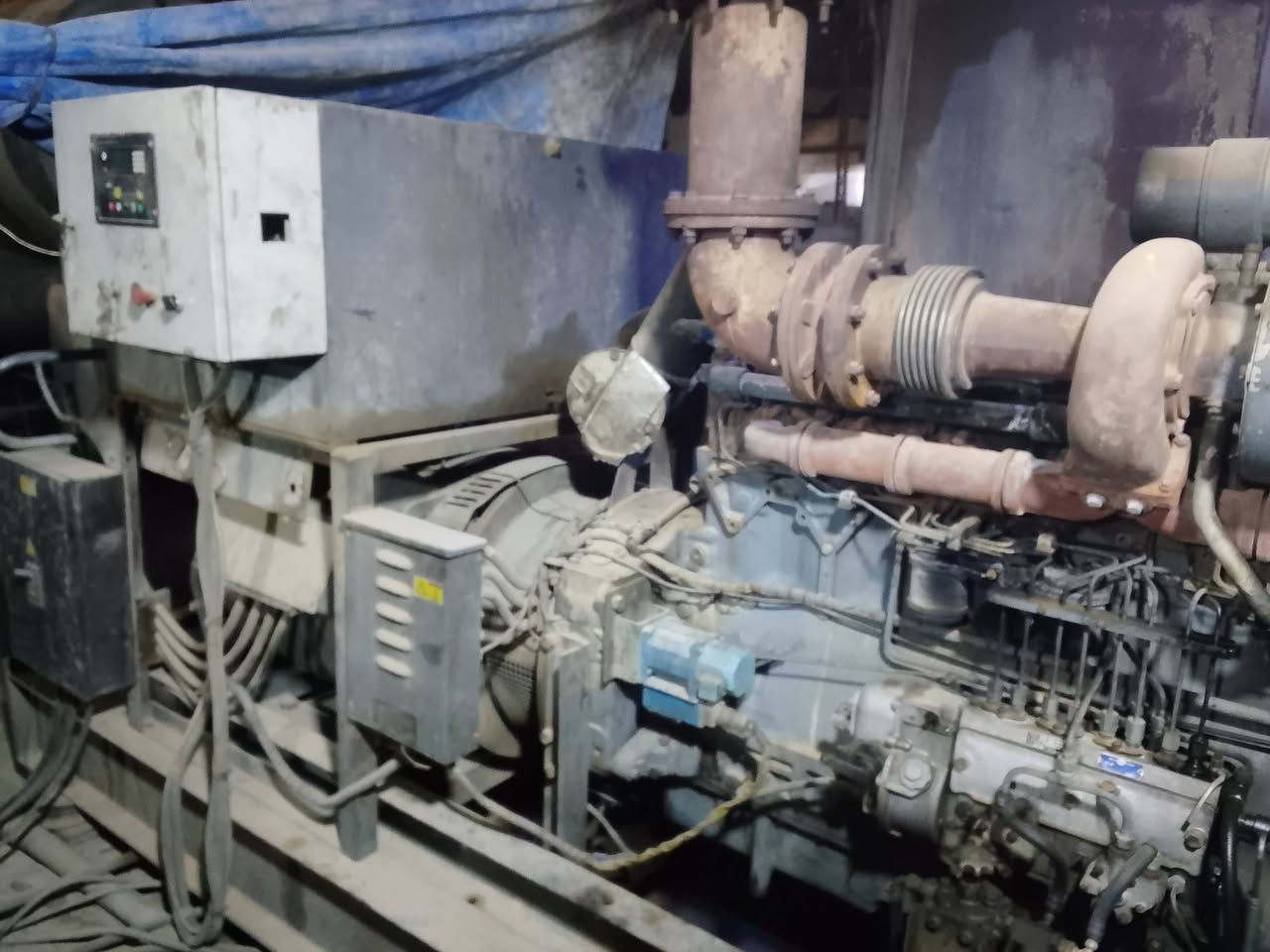 روز رايز للبيع واحد 250 كيف ***********
