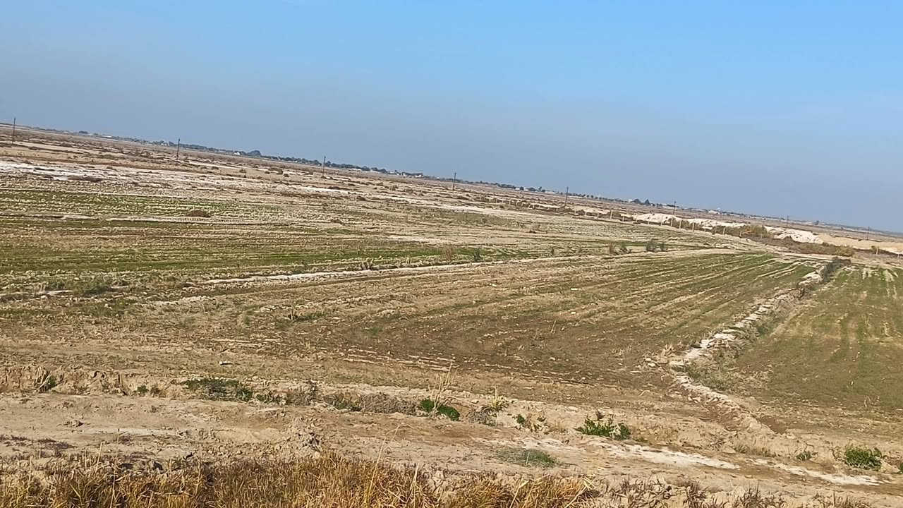 السلام عليكم كاع البيع 30دونم عله المصيفي هيه وزرعهه يتوفرر ماي وكرهباىه ومعه بستان نخيل 3دوانم والتبليط عنهه 5متار ***********.***********
