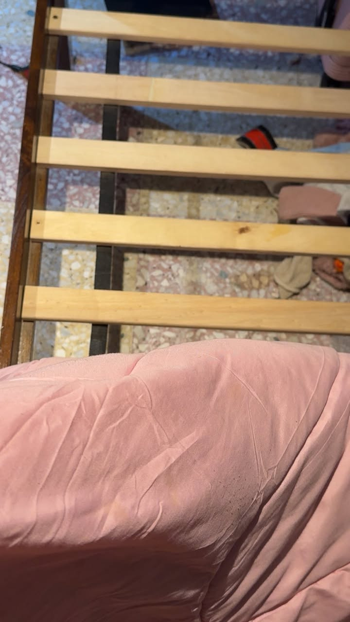 جربايه نفر ونص كبيره كلش خشب اصلي نظافه 95% استعمال قليل جداً  مابيها اي ضرر مكاني بغداد


**إذا كنت صاحب هذا الإعلان وتريد حذفه لأي سبب، رجاءا أرسل رسالة إلى الدعم الفني**