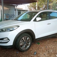 توسان • ٢٠١٨ • رقم اربيل