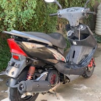 جيتي ار • ثعلب • مراوس