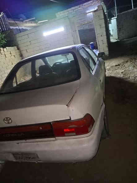 سلام عليكم كورله ٩٤ رقم كركوك صدامي سنويه منتهيه بل ١٩ راعيهه اب كركوك ما واصله ابيع بدون راعي مكفوله من الكص والنقل والطلب مكفوله عشاير يسره بلاد تبريد ثلج تخم تاير جديد نوزلات ابلكات كهربيات كلهه شغاله السعر ١٧ ورقه او بيهه مجال مكاني ناصريه سوك الشيوخ ***********
