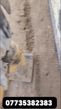 سيد ابراهيم • كنغر للايجار • مع كادر