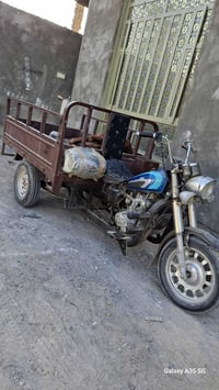 ستوتة امتيار • بصرة جزيرة • شاصي مكفول