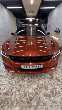 السلام عليكم
من رخصة الادمن المحترم
دوج جارجر اس اكس تي
Dodge charger Sxt
صور الحادث مرفقة بلمنشور حادث خلفي فقط جاملغات خلفية وقبغ صندوق مصبوغ بيها بارد بلباب الخلف الصدر بسيط ماشية 13 الف مواصفات الاس اكس تي معروفة ميحتاج اشرحهن لون مميز مشمشي السيارة رقم بغداد باسمي السعر 24000$ دفترين و اربعين 
هذا رقم تليفوني ***********
غير متواجد ع الماسنجر الشراي يتصل
