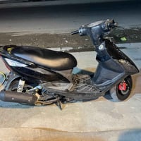 البيع سكنس ثعلب حلوه كله شغار بغداد الشعب السعر 550وبيه مجال المبايل 0...