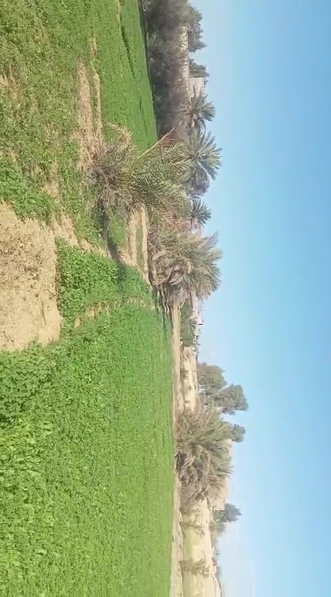 مزرعه للبيع مكان هيت بنان يم معمل طحين الجديد مساحه دونم والف متر عقد زراعي سعر دونم 40 مليون وبي مجال ليريد رقم صاحبه خاص للشراي,@


**إذا كنت صاحب هذا الإعلان وتريد حذفه لأي سبب، رجاءا أرسل رسالة إلى الدعم الفني**