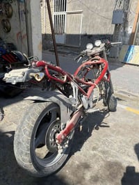 باندا • ٢٥٠ • كفالة