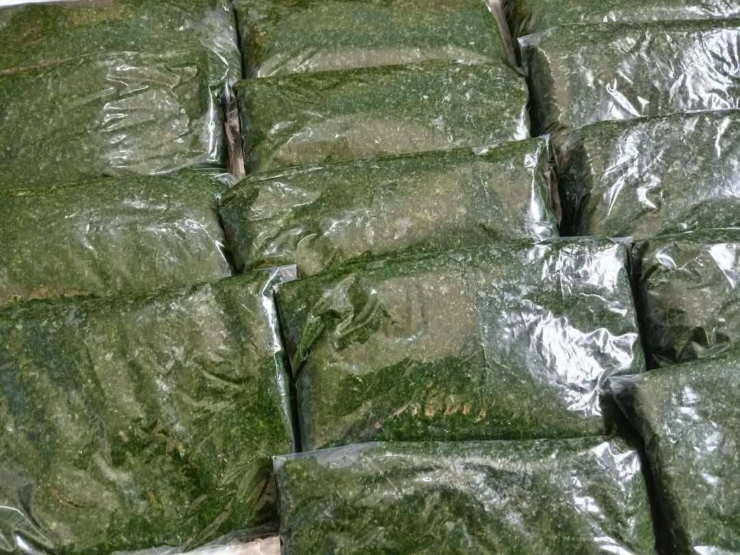 🌿 تفريز الملوخية الخضراء الطازجة 🌿
وفرنا عليكم التعب والوقت 💚 ملوخية خضراء طازجة، منظفة ومفرزة بعناية لتكون جاهزة للطبخ مباشرة 😍
✅ طازجة ونظيفة ✅ جاهزة للاستعمال ✅ تحفظ نكهتها ولونها الأخضر الرائع ✅ مناسبة للتفريز لفترات طويلة
خزّنوا مونة الملوخية من هسا واستمتعوا بطعمها الشهي طول السنة 🌱💚
للطلب والاستفسار راسلونا على الصفحة 📩
#ملوخية #تفريز_الملوخية #مونة_البيت #أكل_بيتي #خضار_طازجة 🌿🥰0788743778


**إذا كنت صاحب هذا الإعلان وتريد حذفه لأي سبب، رجاءا أرسل رسالة إلى الدعم الفني**
