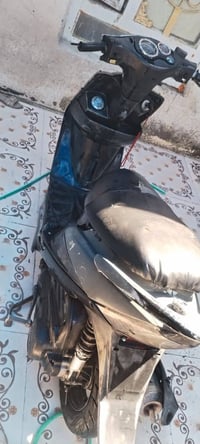 كامكو • شغاله • هندر فاطره