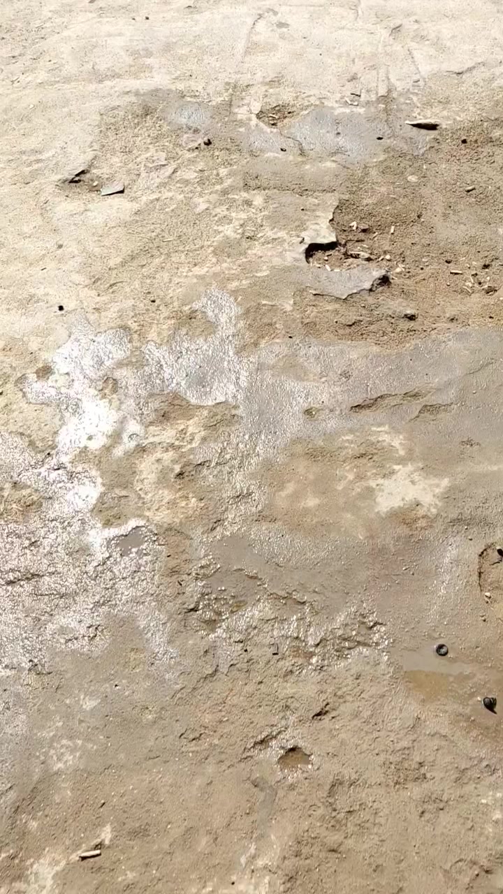 ورشه ابو علي تصليح دعاميات عنوان ناصريه شارع سومر مجاور مالك تبريد رقم موبايل ***********
