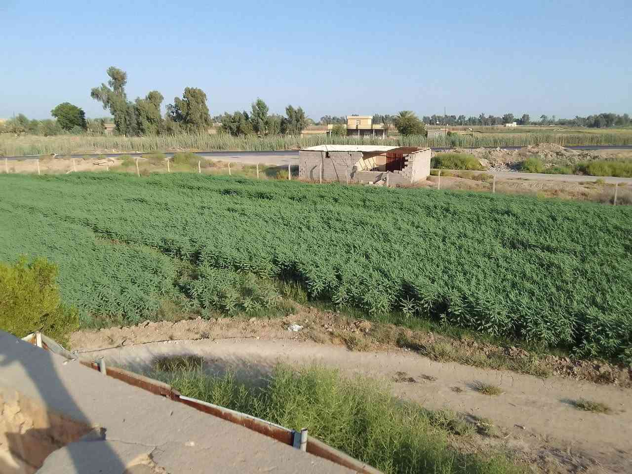 اربع دوانم ركن طابو صرف زراعي سند 25 رضوانيه الشرقيه دور قطاع 15
للاستفسار

*********** 
***********
