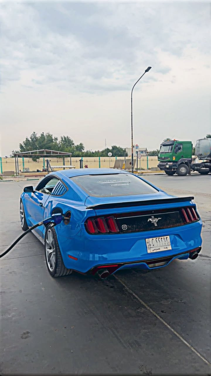 الي يدور نظيف وجديد وصلت هنا
موستنك 6 سلندر 2017 ..
ماشية 55 ميل 🐴
سيارة ستوك للأخير .. 
الحادث مثل ماموضح بالصور بدون دواخل ولا شاصي ولا لغد 
فقط ايرباك ستيرن طاك .
السيارة فقط قطعة ونص صبغ (بنيد وربع الجاملغ فقط الباقي كلين ) 
مكانها بغداد … 
*********** 
155وبيها مجال حك الجية .
شباب الي حاب يستفسر راعي السيارة رقمة فوك اني مجرد ناشرها فقط !!
