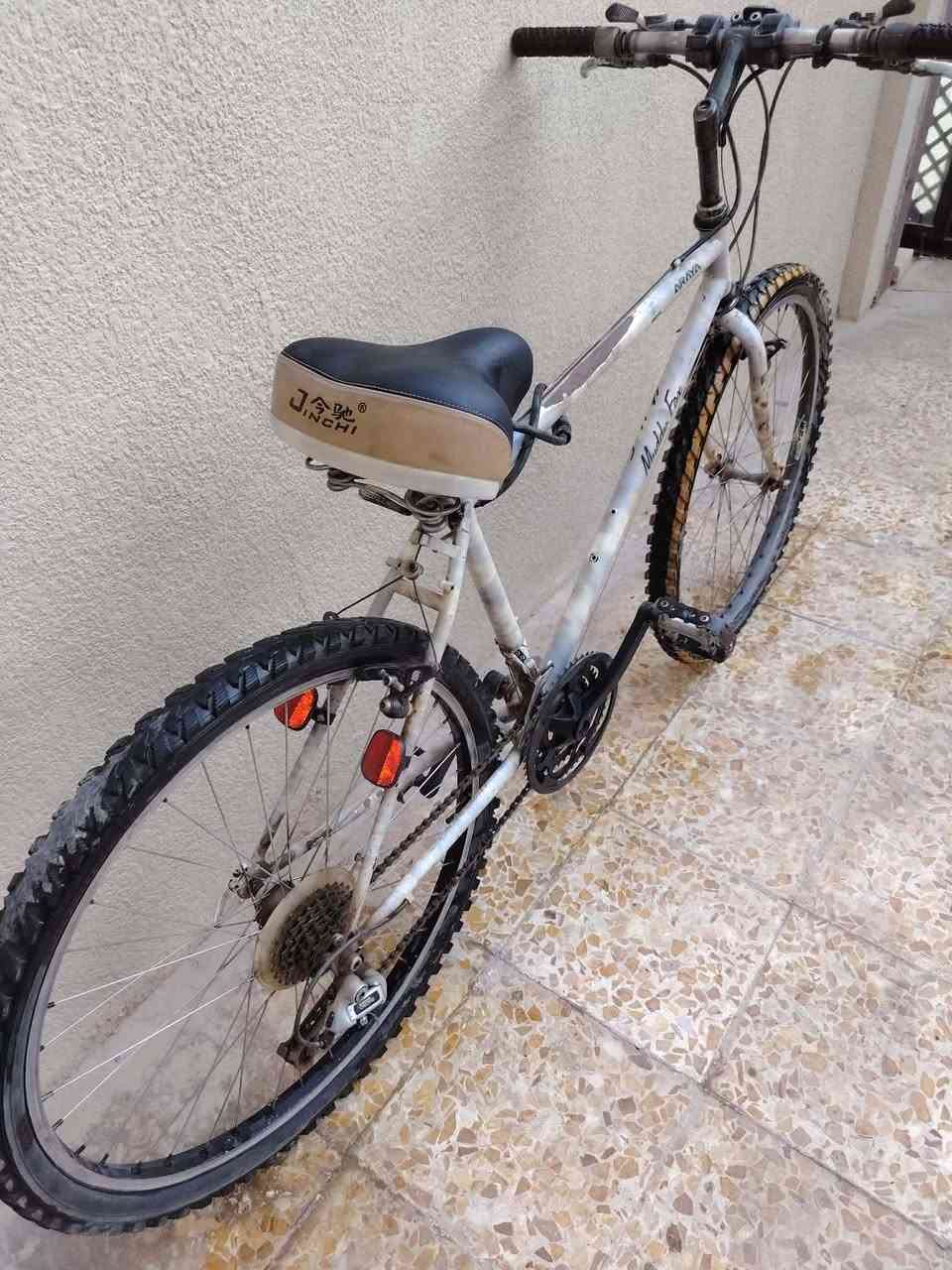 ياباني حجم 26 سعر 50


**إذا كنت صاحب هذا الإعلان وتريد حذفه لأي سبب، رجاءا أرسل رسالة إلى الدعم الفني**