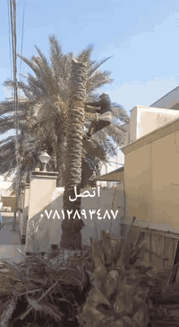 مشتل الوادي الاخضر ٠٧٨١٢٨٩٣٤٨٧