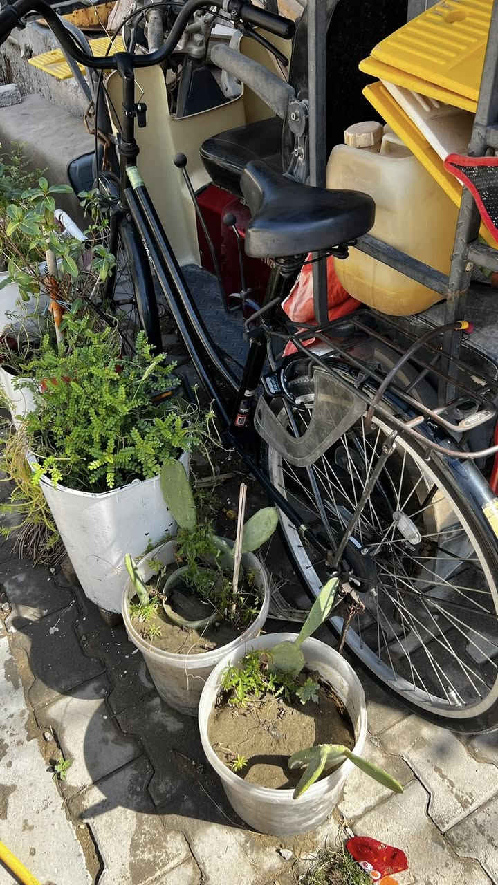 سلام عليكم باسكل للبيع مديل ٢٠٢٠نضيف صارله يومين نازل من الحاويه الباسكال نضيف بمعنه الكلمه السعر 135وبي مجال قليل كلش حك الجيه مكان نجف


**إذا كنت صاحب هذا الإعلان وتريد حذفه لأي سبب، رجاءا أرسل رسالة إلى الدعم الفني**